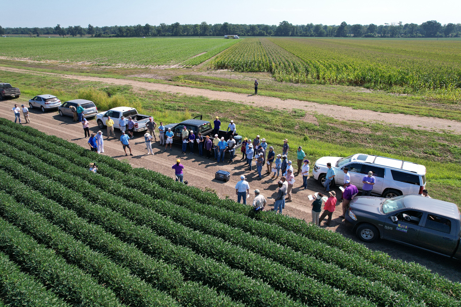 LSU AgCenter Research Combats Hypoxic Dead Zone